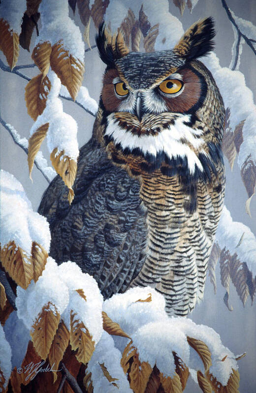 Great Horned Owl Sitting In A Snowy Tree Poster featuring the painting Winter Watch - Great Horned Owl by Wilhelm Goebel