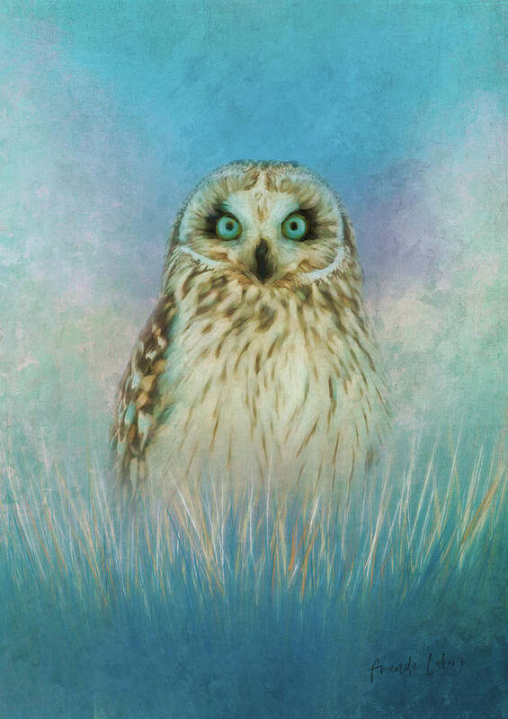 Fine Art Poster featuring the mixed media Wise Owl by Amanda Jane