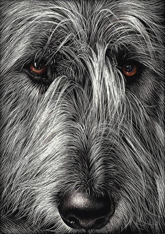 Irish Wolfhound Poster featuring the drawing Wolfhound by Elena Kolotusha