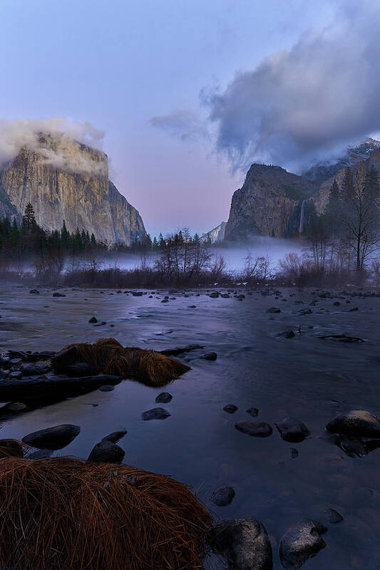 Yosemite Poster featuring the photograph Yosemite Valley Floor by Jon Glaser