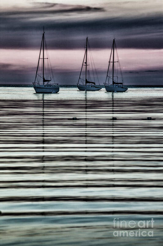 Sailboats Poster featuring the photograph 3 Sailboats #1 by Timothy Johnson