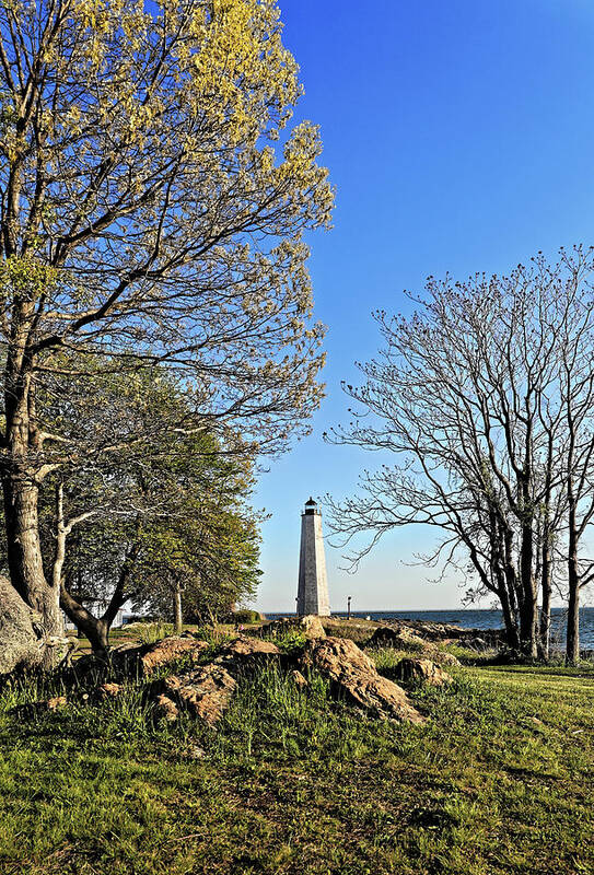 Five Mile Point Lighthouse Poster featuring the photograph Five Mile Point Lighthouse through trees #1 by Doolittle Photography and Art