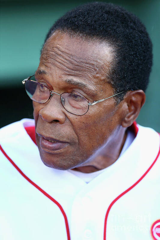People Poster featuring the photograph Rod Carew by Maddie Meyer