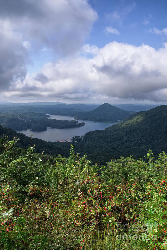Lake Ocoee Poster featuring the photograph Scenic Overlook 10 #1 by Phil Perkins