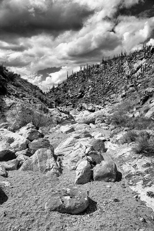 Taque Verde Poster featuring the photograph Taque Verde Canyon AZ #1 by Chris Smith