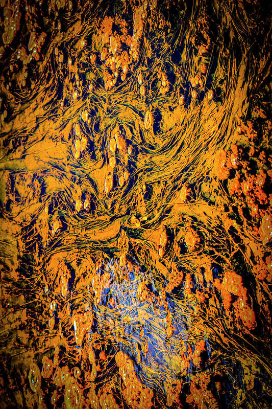 Texture Poster featuring the photograph Yellowstone Abstract Photography 20180518-84 by Rowan Lyford