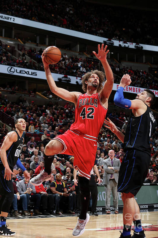 Robin Lopez Poster featuring the photograph Robin Lopez by Gary Dineen