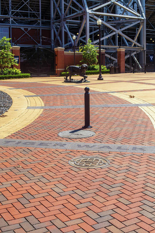 Auburn Tigers Poster featuring the photograph Tiger Walk at Auburn University by Eldon McGraw