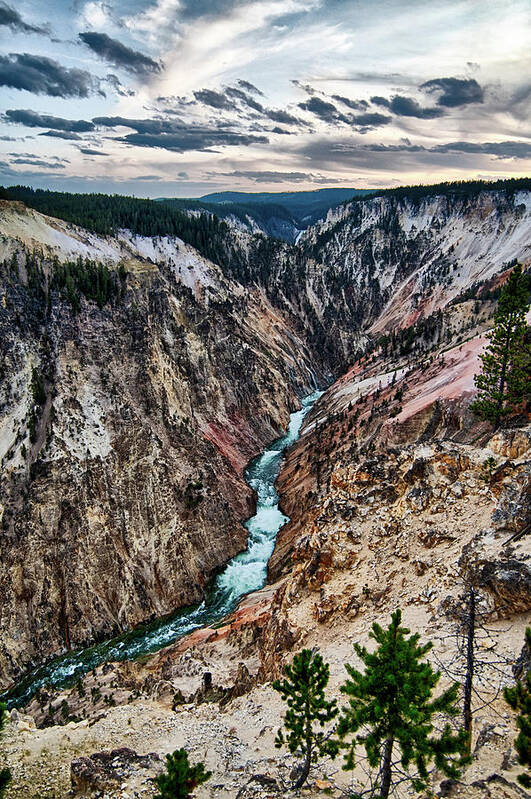Nature Poster featuring the photograph Lower falls of the yellowstone national park from artist point a #3 by Alex Grichenko