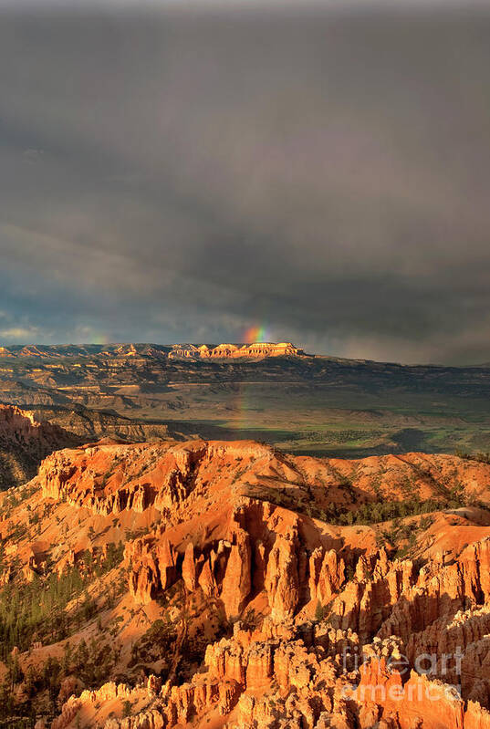 Dave Welling Poster featuring the photograph Rainbow Over Hoodoos Bryce Canyon National Park Utah #3 by Dave Welling