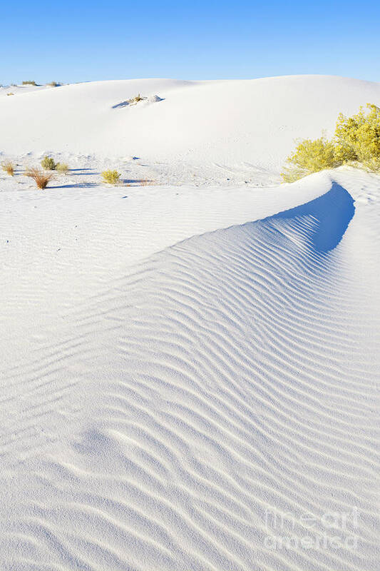 Chihuahuan Desert Poster featuring the photograph White Sands Gypsum Dunes #7 by Raul Rodriguez