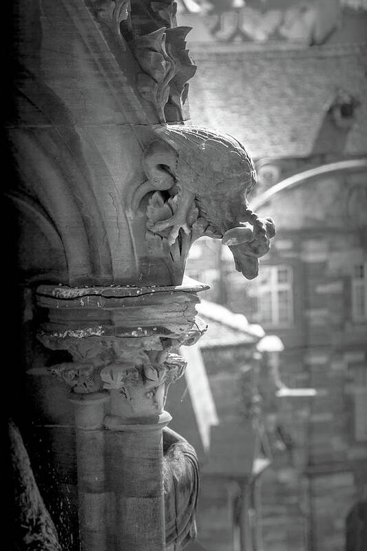 Architecture Poster featuring the photograph A Grotesque in Strasbourg - 1 by W Chris Fooshee