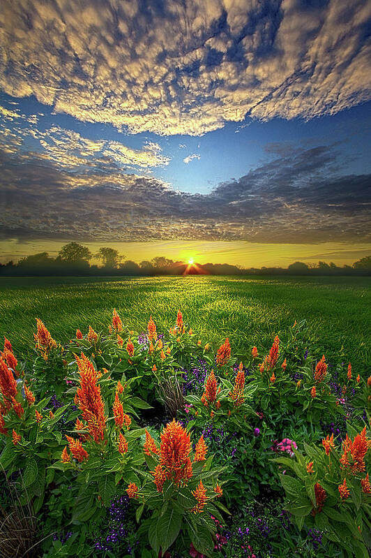 Beautiful Poster featuring the photograph A Time To Keep by Phil Koch
