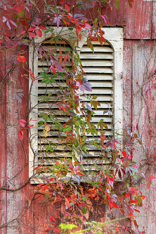 New Jersey Poster featuring the photograph Abandoned Red Barn Window by Kristia Adams