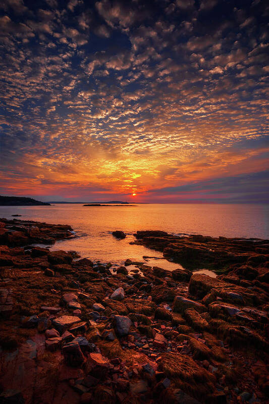 Acadia National Park Poster featuring the photograph Acadia 34a6751 by Greg Hartford