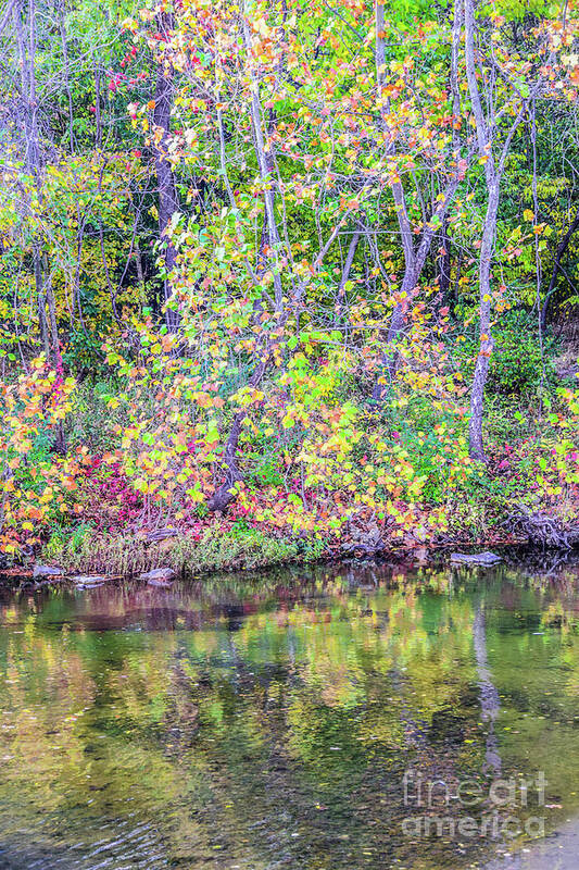 Autumn Poster featuring the photograph Autumn Colors Looks Like a Monet by Peggy Franz