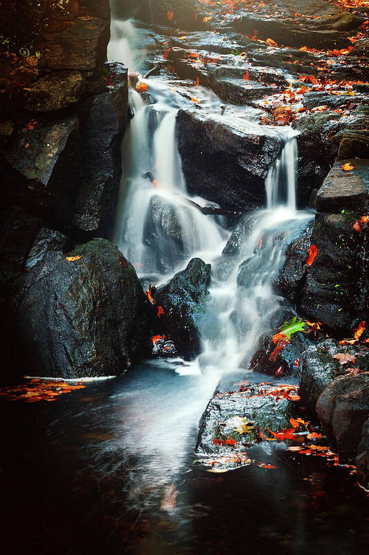 Stream Poster featuring the photograph Autumn Flows by Robert Mintzes
