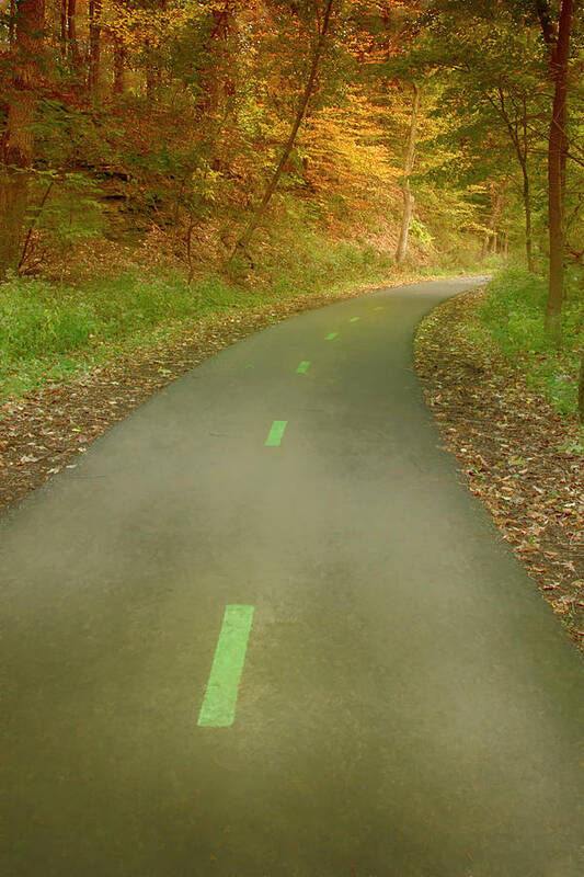 Path Poster featuring the photograph Autumn Path - Follow Along by Mitch Spence