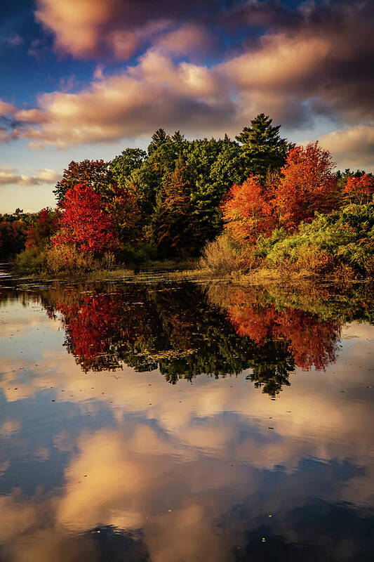 Reflections Poster featuring the photograph Autumn pond mirror reflections in NH by Lilia S