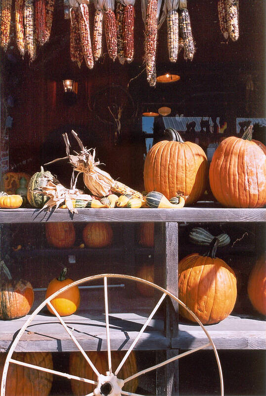 Still Life Poster featuring the photograph Autumn Still Life by Steve Karol