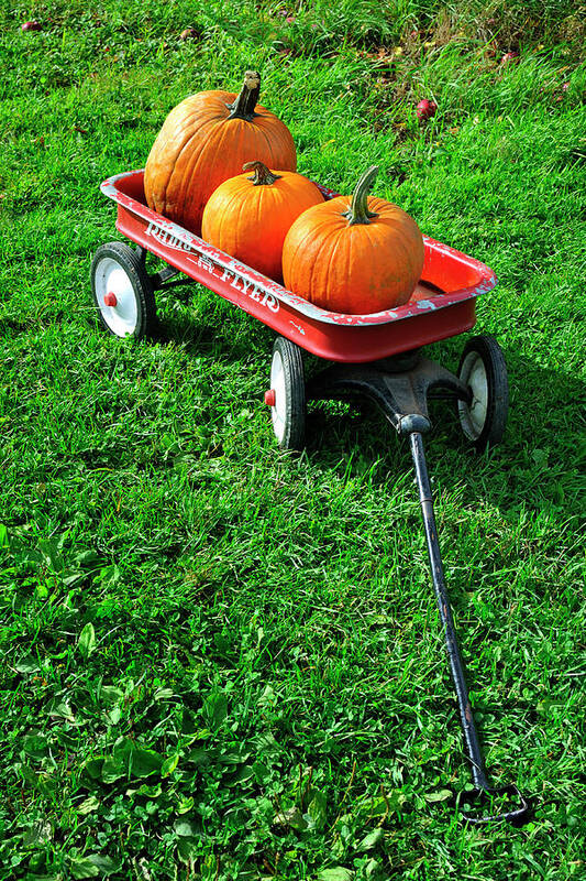 Little Red Wagon Poster featuring the photograph Autumn Wagon by Luke Moore