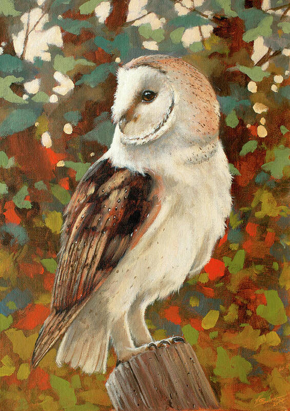 Barn Owl Poster featuring the painting Barn Owl Portrait W722 by John Silver