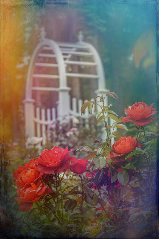 Artistic Poster featuring the photograph Beautiful garden scene with roses by Sue Leonard