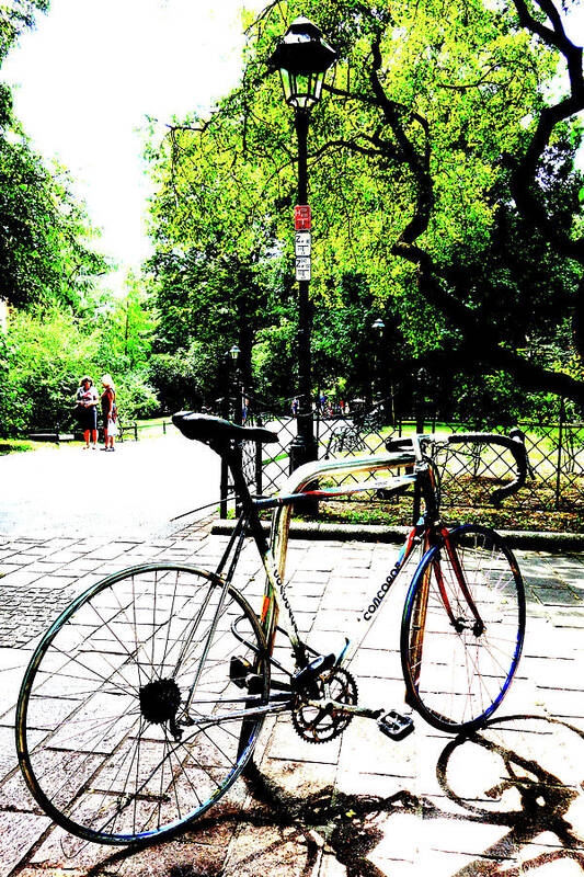 Tree Poster featuring the photograph Bicycle In Park In Krakow, Poland by John Siest