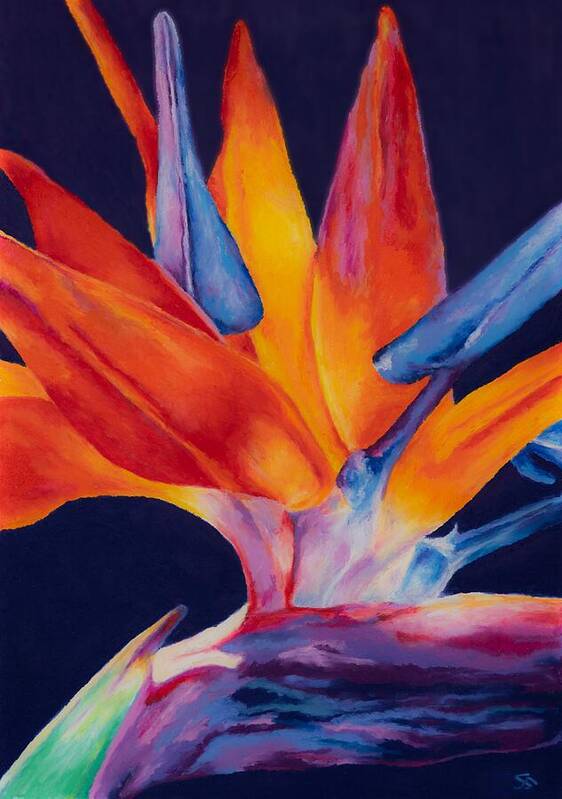 Flower Poster featuring the painting Bird of Paradise III by Stephen Anderson