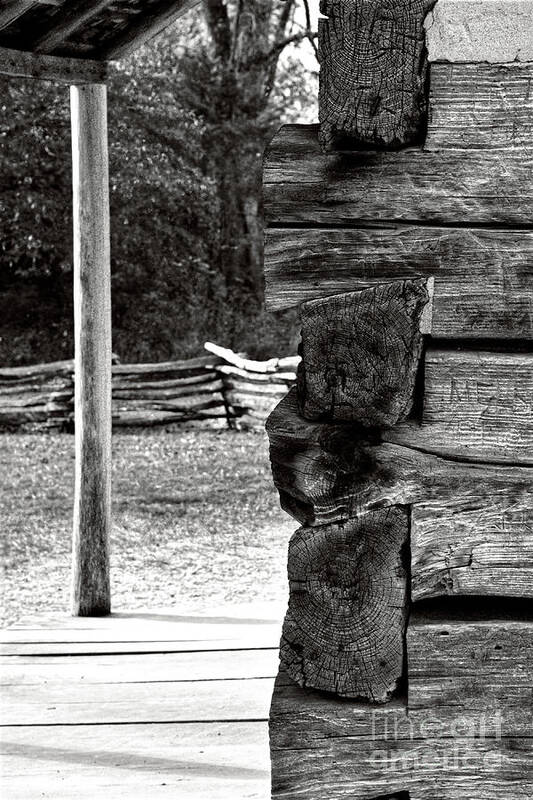Monotone Poster featuring the photograph Black And White Log Cabin 2 by Phil Perkins