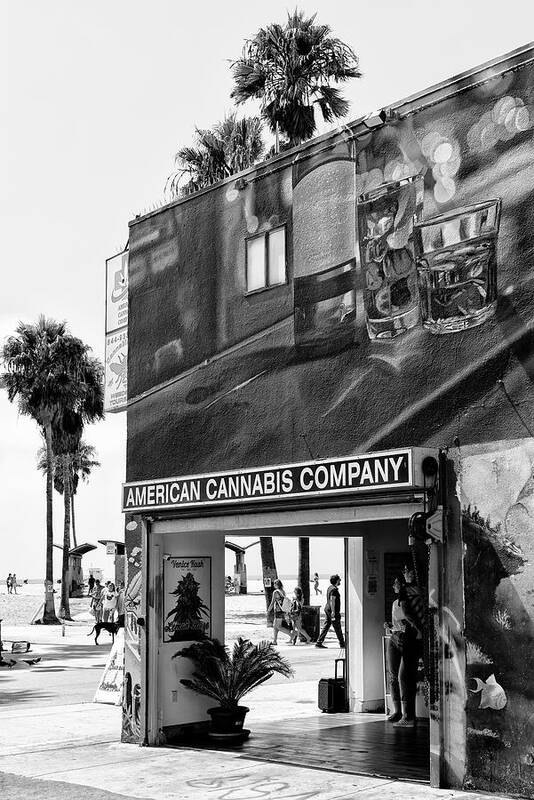 Venice Beach Poster featuring the photograph Black California Series - American Cannabis Venice Beach by Philippe HUGONNARD