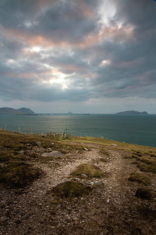 Coast Poster featuring the photograph Blasket View I by Mark Callanan