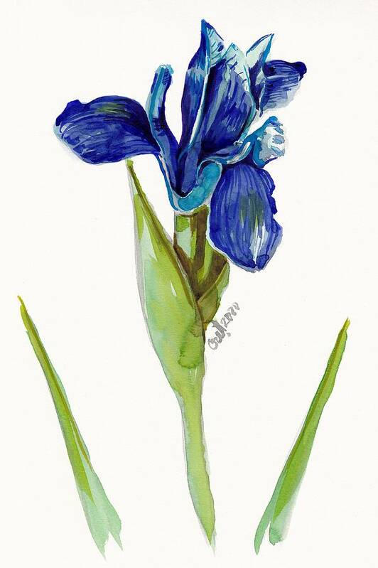 Iris Poster featuring the painting Blue Me by George Cret