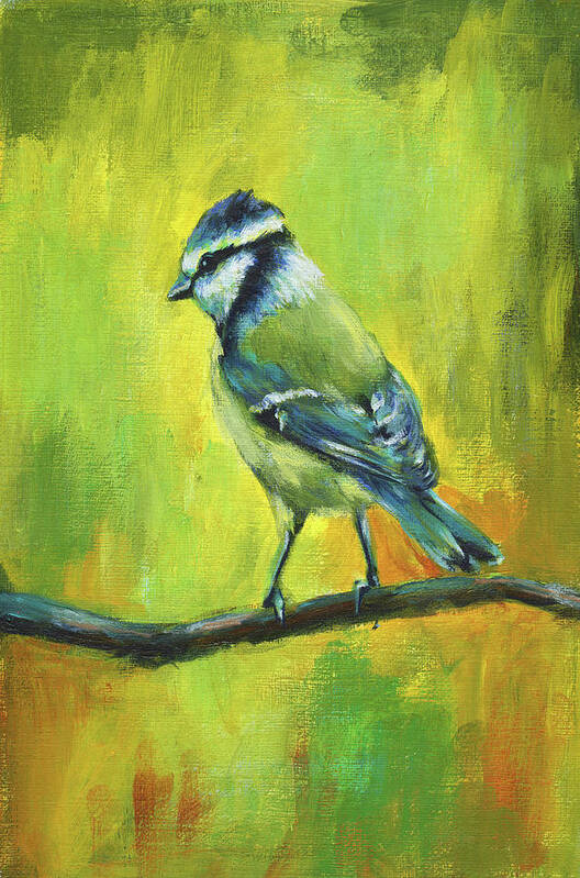 Bird Poster featuring the painting Blue tit bird portrait painting by Karen Kaspar