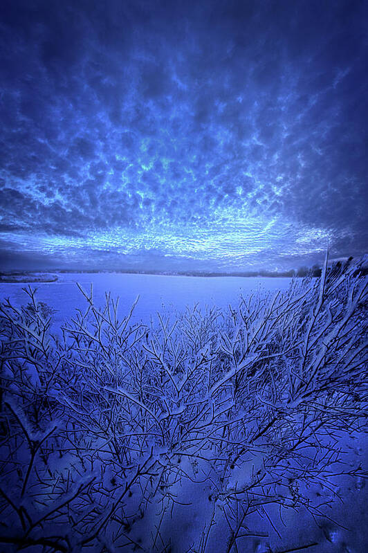 Soft Poster featuring the photograph Born of Twilight by Phil Koch