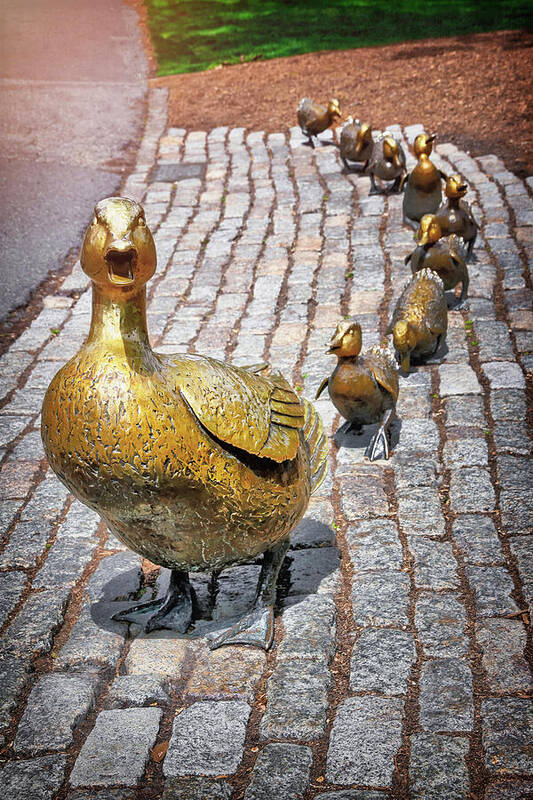 Make Way For Ducklings Poster featuring the photograph Boston Public Garden Make Way For Ducklings by Carol Japp