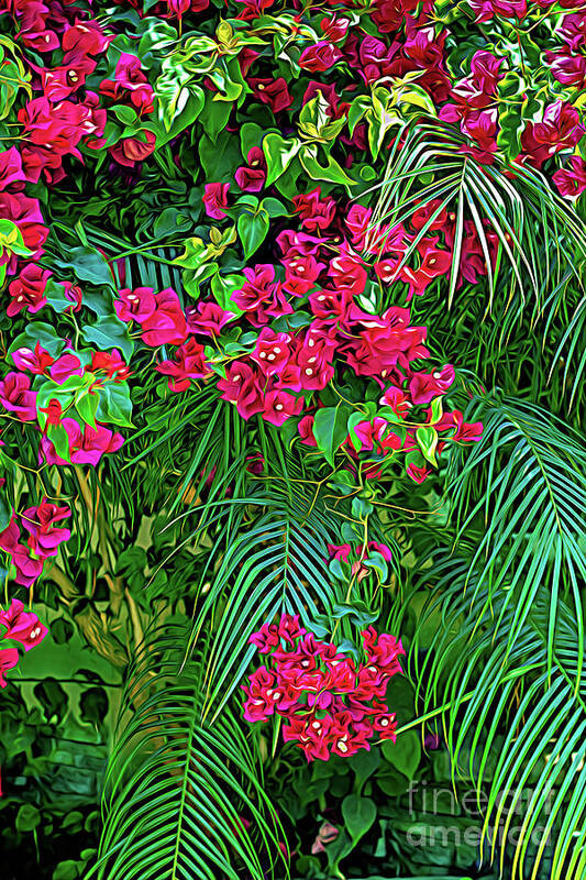 Bougainvillea Poster featuring the photograph Bougainvillea with Palm Fronds-I by Roslyn Wilkins
