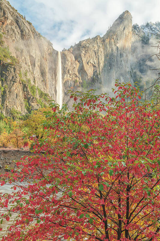 Bridalveil Poster featuring the photograph Bridalveil Fall and Red Leaf by Bill Roberts