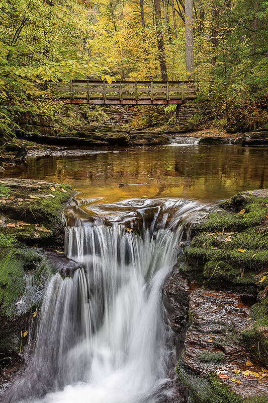 Ricketts Glen Poster featuring the photograph Bridge and falls by Robert Miller