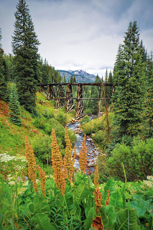 Mountain Poster featuring the photograph Bridge down a Backroad by Go and Flow Photos