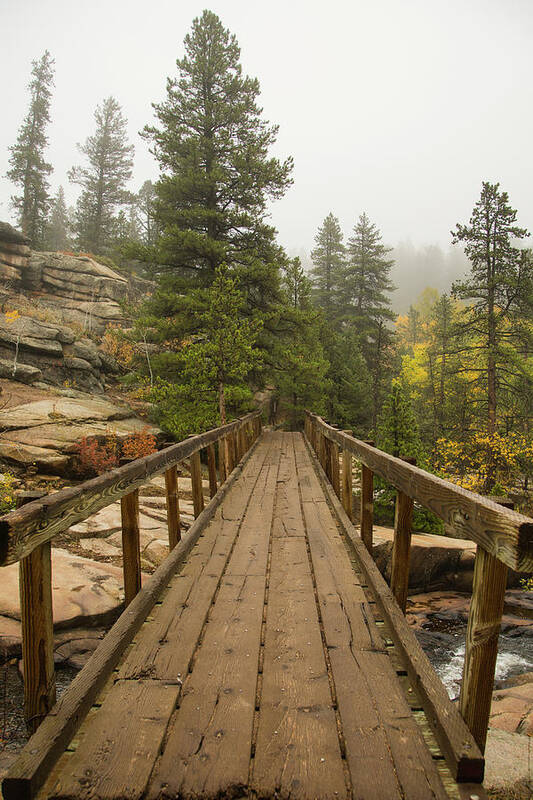 Cool Poster featuring the photograph Bridge Into The Clouds by James BO Insogna