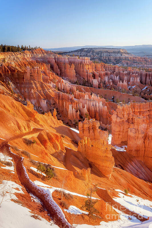 Bryce Canyon Poster featuring the photograph Bryce Canyon by Brian Jannsen