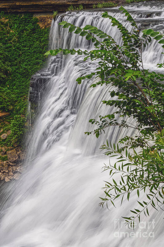 Burgess Falls State Park Poster featuring the photograph Burgess Falls 3 by Phil Perkins