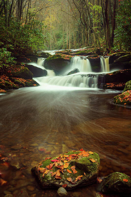 Tennessee Poster featuring the photograph Cascading Waterfalls by Darrell DeRosia