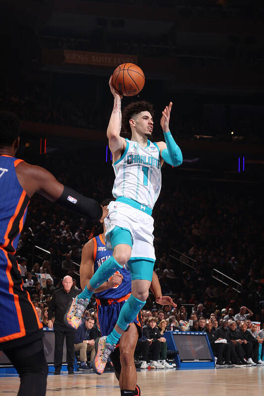 Nba Pro Basketball Poster featuring the photograph Charlotte Hornets v New York Knicks by Nathaniel S. Butler