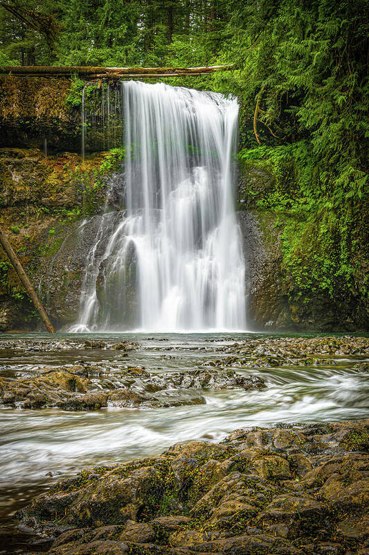 2019 Poster featuring the photograph Chasing Waterfalls by Erin K Images