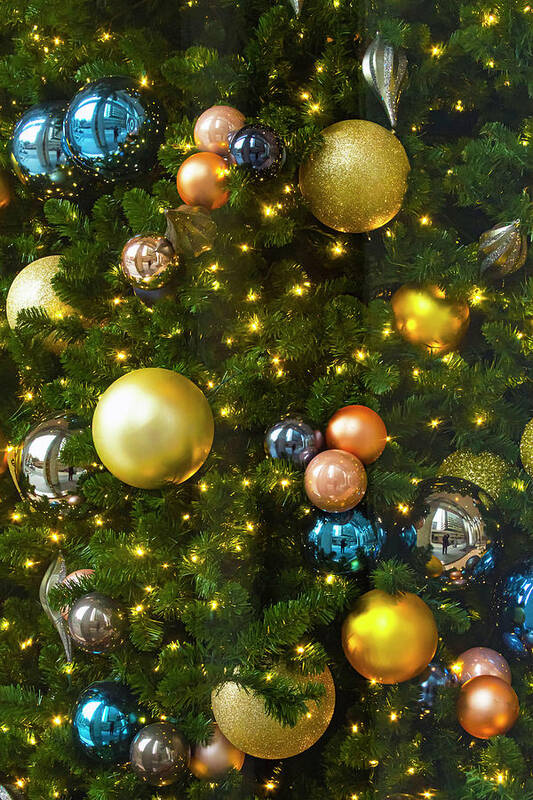 Christmas Poster featuring the photograph Christmas Tree Cheer-3 by Bonnie Follett