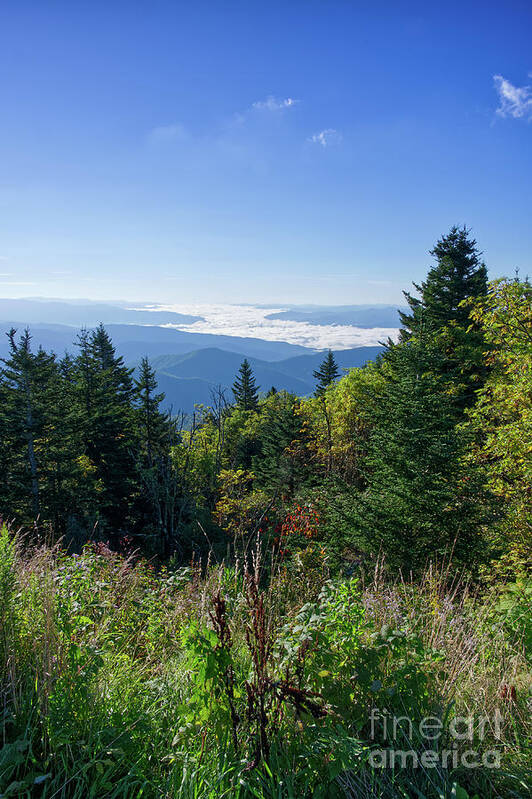 Clingmans Dome Poster featuring the photograph Clingmans Dome 18 by Phil Perkins