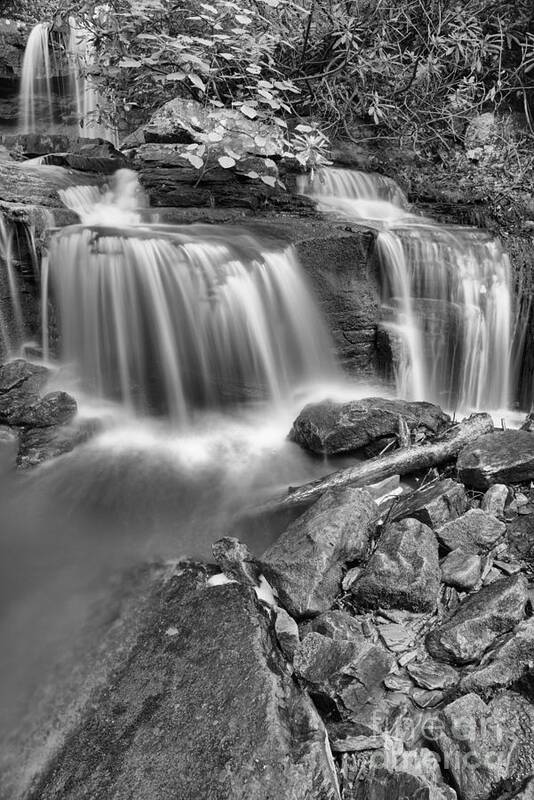 Cole Poster featuring the photograph COle Run Falls Spring Portrait Black And White by Adam Jewell