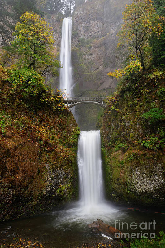 Pacific Northwest Poster featuring the photograph Colorful Autumn Foliage at Multnomah Falls in Oregon by Tom Schwabel